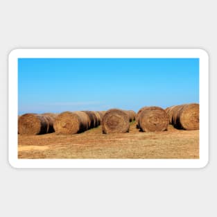 Round Bales Of Hay Sticker